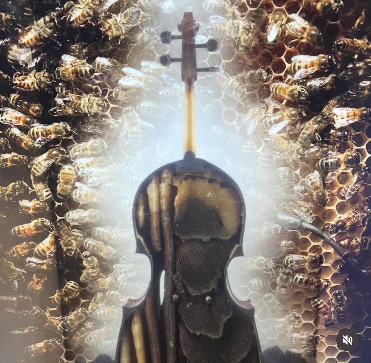EsheHoney's tweet photo. Bees: A Story of Survival is a new immersive exhibition which has just opened at the amazing National Museums Liverpool.
Eshe Honey had the privilege of attending the opening launch event.
#worldmuseumliverpool #woolfgangbuttress #liverpoolmuseums #bbcradio4 #savethebees https://t.co/O2i53Jmjbn