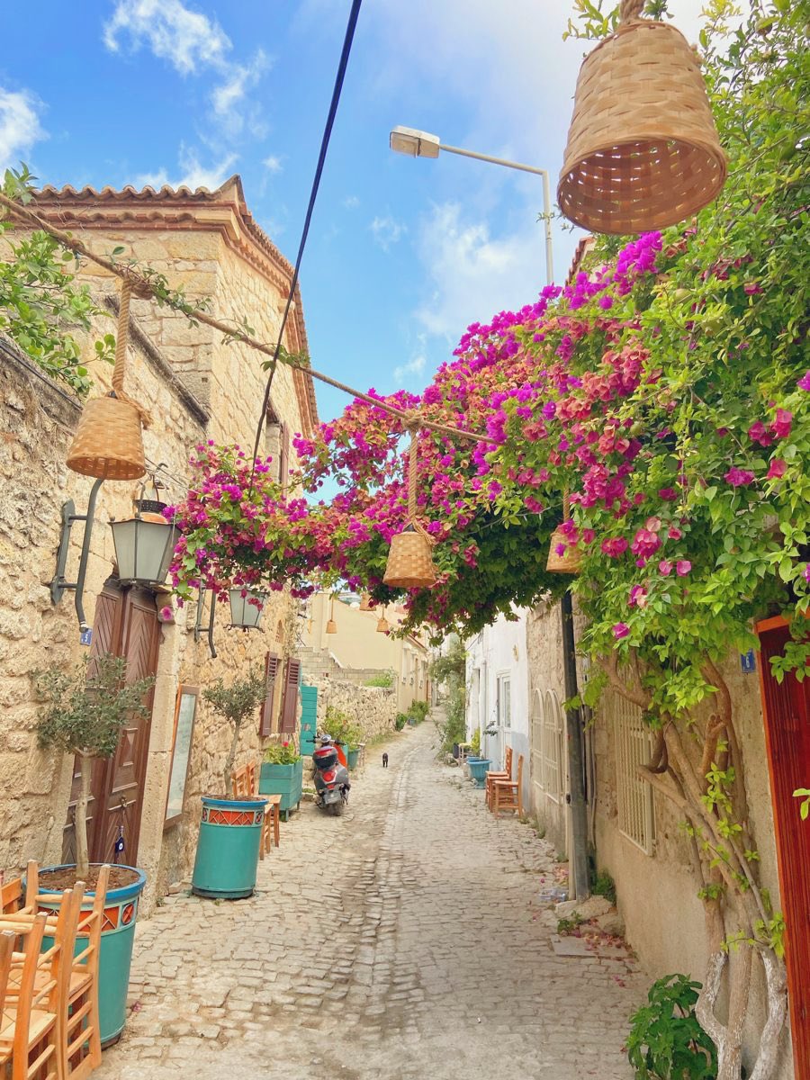 mediterraneanAE's tweet photo. https://t.co/koSGTKpvQH