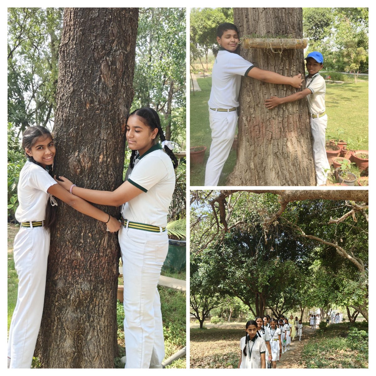 SDSG Foundation (@sdsgfoundation) on Twitter photo <a href="/sdsgfoundation/">SDSG Foundation</a> conducted #Nature Camps for School #Students under #EnvironmentEducationProgram 2023-24. #ProPlanetPeople
#MissionLiFE #ChooseLiFE
#LifestyleforEnvironment
<a href="/moefcc/">MoEF&CC</a> <a href="/susangeorgek/">Susan George K</a> @PunjabGovtIndia <a href="/PSCST_GoP/">Punjab State Council for Science and Technology</a> @CMOPb <a href="/JKAroraEDPSCST/">Jatinder Kaur Arora</a> <a href="/KSBathPSCST/">KSBathPSCST</a> <a href="/sdsgfoundation/">SDSG Foundation</a> conducted #Nature Camps for School #Students under #EnvironmentEducationProgram 2023-24. #ProPlanetPeople
#MissionLiFE #ChooseLiFE
#LifestyleforEnvironment
<a href="/moefcc/">MoEF&CC</a> <a href="/susangeorgek/">Susan George K</a> @PunjabGovtIndia <a href="/PSCST_GoP/">Punjab State Council for Science and Technology</a> @CMOPb <a href="/JKAroraEDPSCST/">Jatinder Kaur Arora</a> <a href="/KSBathPSCST/">KSBathPSCST</a>