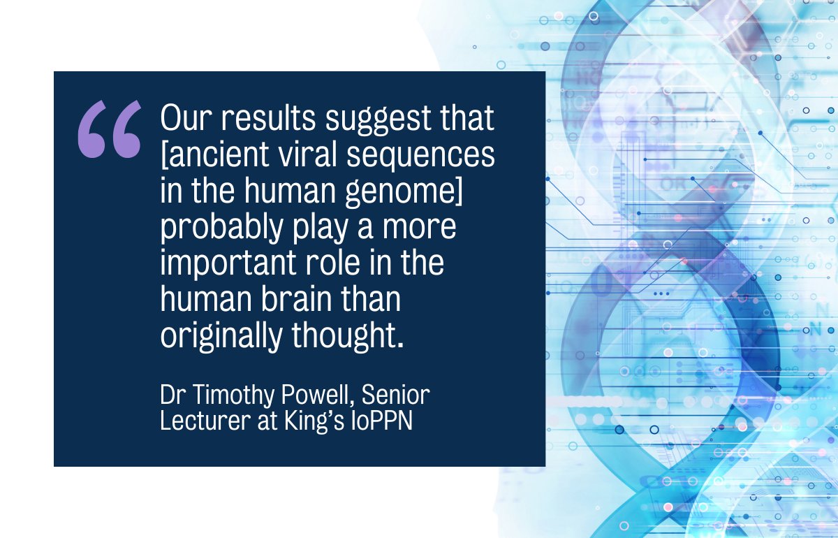 Institute of Psychiatry, Psychology & Neuroscience (@kingsioppn) on Twitter photo New research out in <a href="/NatureComms/">Nature Communications</a>, funded by <a href="/NIHRMaudsleyBRC/">NIHR Maudsley Biomedical Research Centre (BRC)</a> & <a href="/NIH/">NIH</a>, has found that #DNA sequences which originate from ancient viral infections contribute to susceptibility for psychiatric disorders like #schizophrenia, #bipolar disorder & #depression.
👉kcl.ac.uk/news/ancient-v… New research out in <a href="/NatureComms/">Nature Communications</a>, funded by <a href="/NIHRMaudsleyBRC/">NIHR Maudsley Biomedical Research Centre (BRC)</a> & <a href="/NIH/">NIH</a>, has found that #DNA sequences which originate from ancient viral infections contribute to susceptibility for psychiatric disorders like #schizophrenia, #bipolar disorder & #depression.
👉kcl.ac.uk/news/ancient-v…