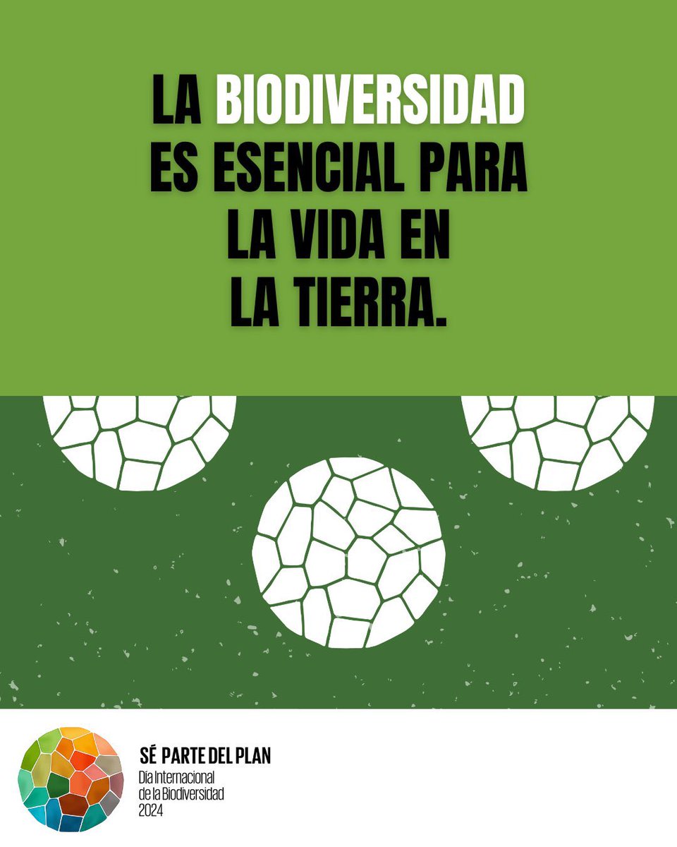 El 22 de mayo es #DíaDeLaBiodiversidad. La biodiversidad es crítica para nuestra vida y está bajo amenaza diariamente. Honduras tiene que protegerla ¡Sé #ParteDelPlan y protege la biodiversidad! via @UNBiodiversity