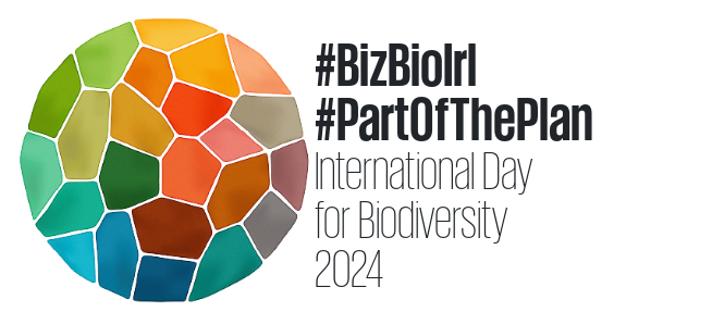 Thanks to all who joined our Members Forum online this morning on #BiodiversityDay2024, great to engage in discussion with a variety of businesses who want to develop their #BiodiversityStrategy 🦊 #BizBioForum Be #PartOfThePlan #ForNature - join today at businessforbiodiversity.ie