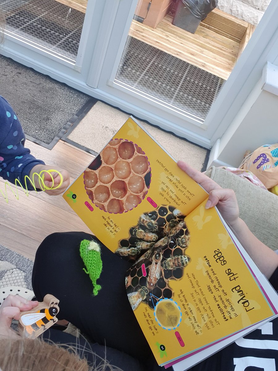 PoppinsDaycare1's tweet photo. Busy morning of lifecycles, healthy foods, oral health 👏🏻 All child led with cleverly positioned resources to extend learning 👍 #numbers #colours #daysofweek #bees #languageandliteracy #KnowledgeIsPower @EarlyWales @mmewcav @TeethTeam @VictoriaExtence @PACEYCymru @D2S_Wales https://t.co/M9WJ9tZCDc