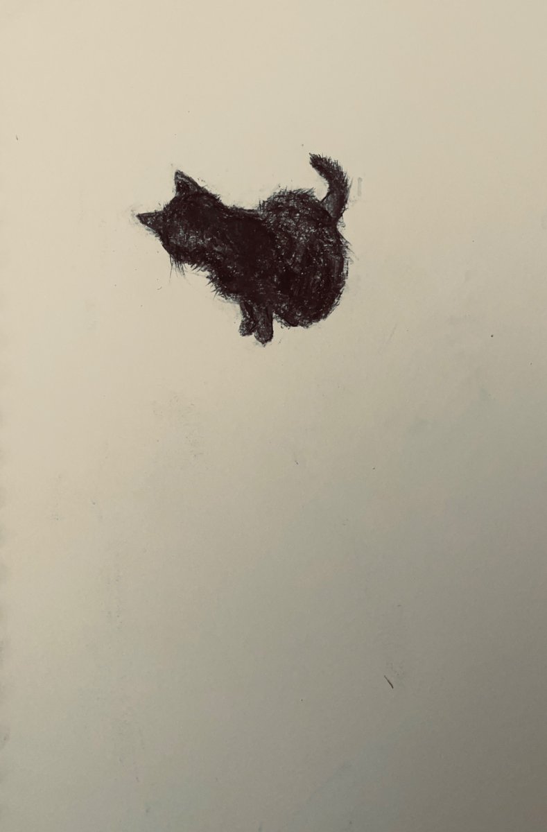 Klaus fixed. Charcoal on paper #CatsOnX #CatsLover #cat_drawing