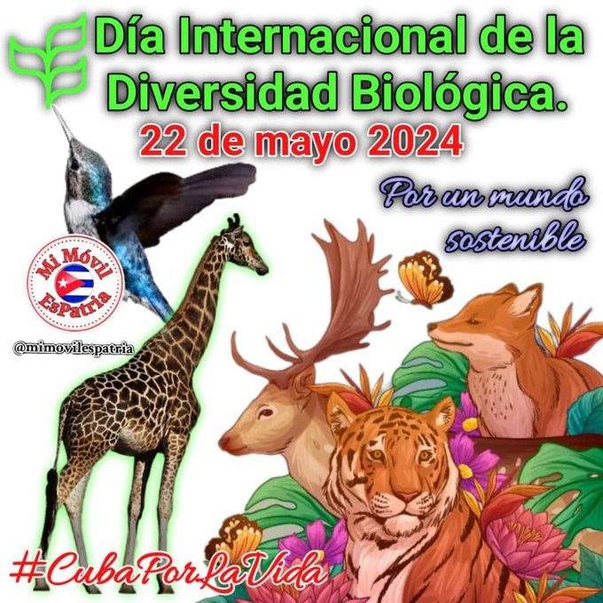 EGuaimaro's tweet photo. Día Internacional de la diversidad biológica 22 de mayo  Tiene como objetivo  concientizar a la población  acerca de la importancia que tiene la biodiversidad para los seres humanos. #CubaMined #Camagüey #Guàimaro
@btan0987 @CamagueyDPE @CubaMined @DiazCanelB @GuaimaroNoticia https://t.co/e6QqtyBotS