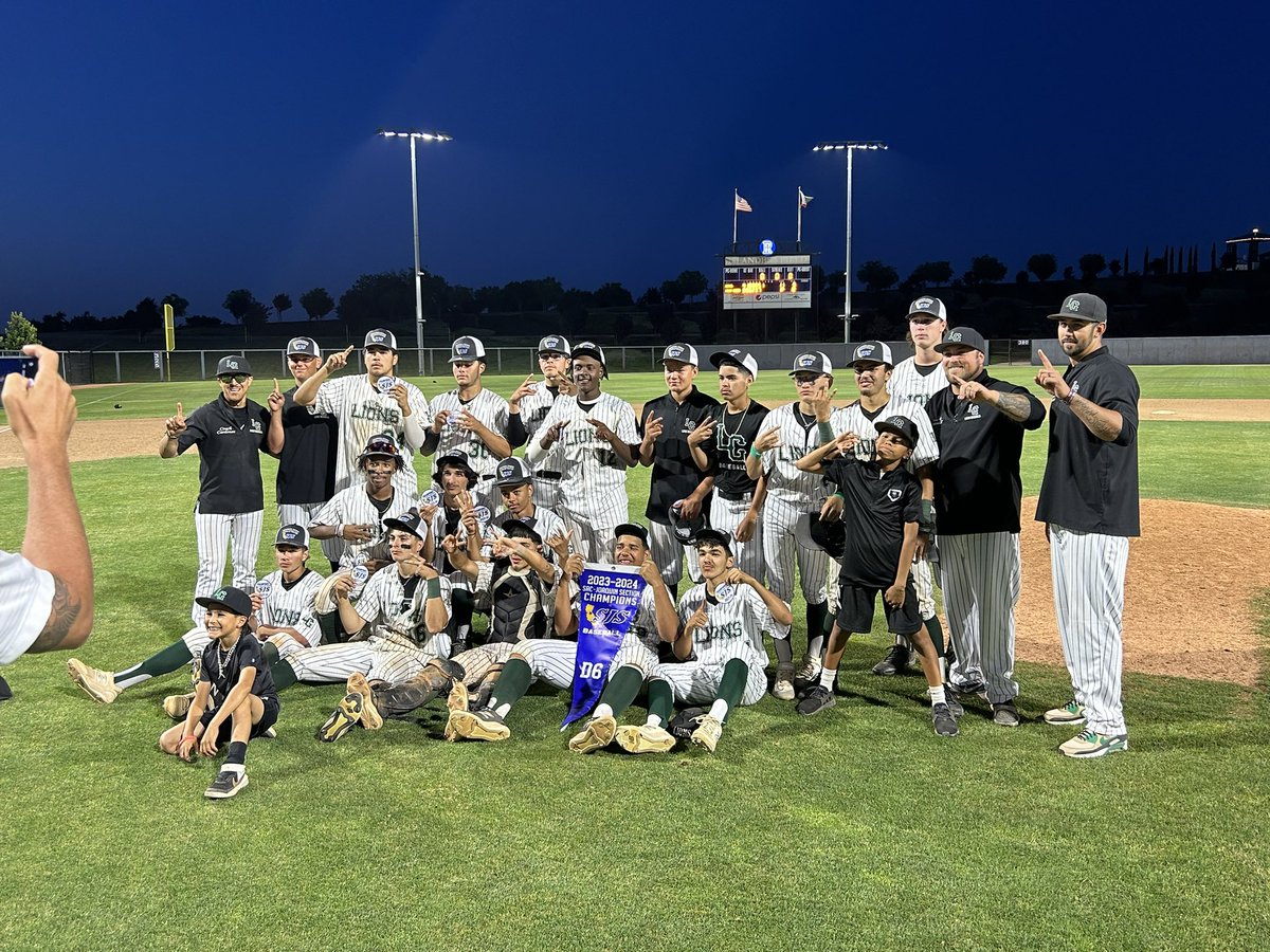 What a night!  LGA baseball is back to back section champs!