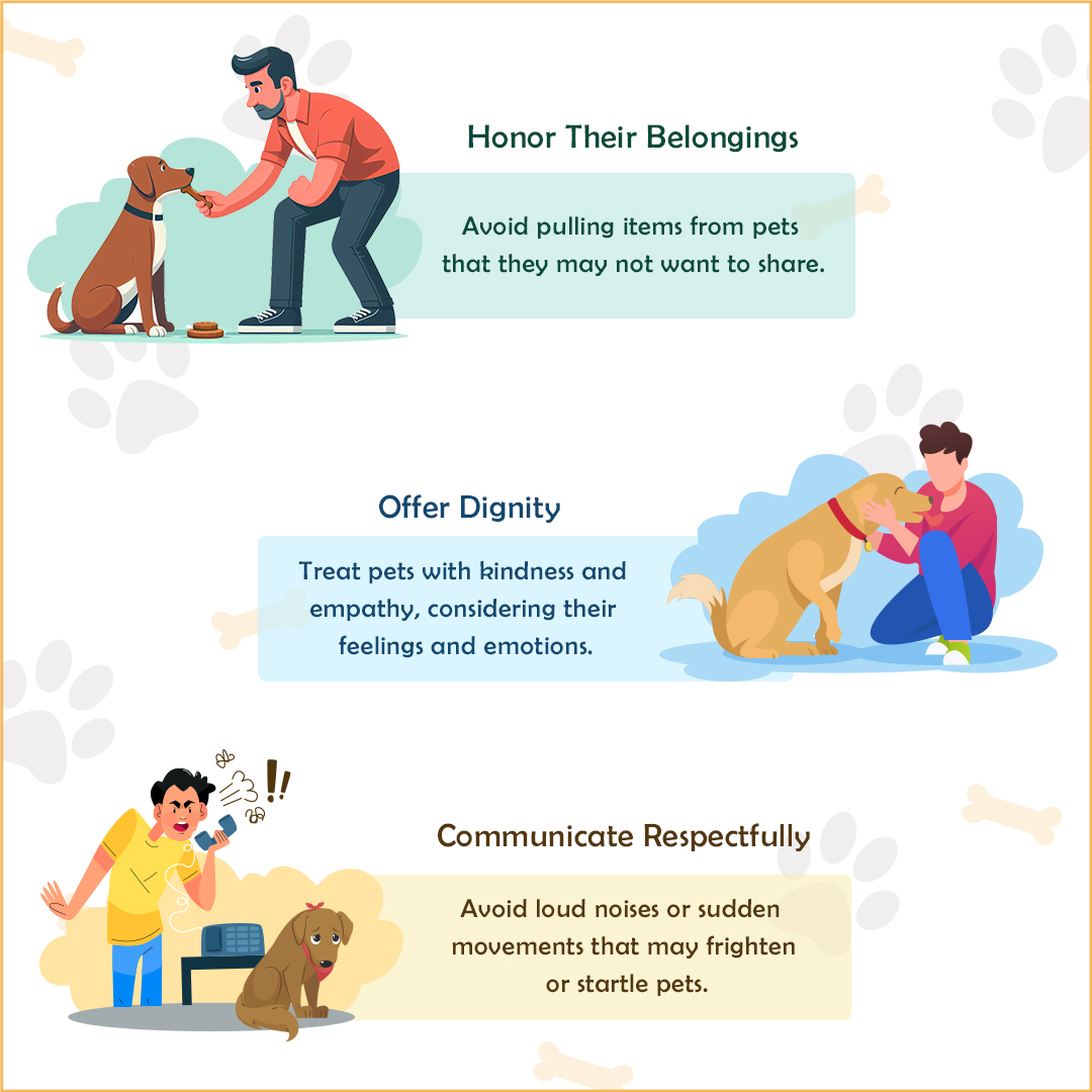 Hello pet lovers! How do you keep your furry friends safe? 🐾

I always make sure to keep hazardous items out of reach and create a pet-friendly space.

For more tips and the best pet products, visit Petcaresupplies! 🐶

#petcare #safetytips #happypet #pethealth #pettips #tips