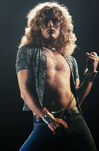 Freddie mercury or Robert plant, who was greater? I came across this one on Reddit.