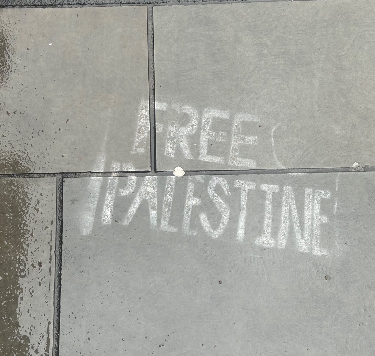 It’s free Palestine until it’s free Palestine