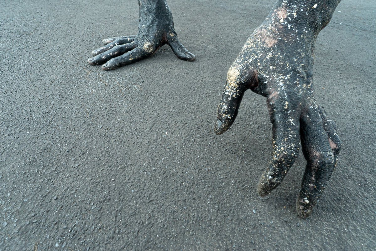 Las Doradas
<Ana Erdozain>

Una cuestión ¿hasta dónde somos capaces de llegar para conseguir lo que queremos?

V24 y S25 de mayo 21:00 H.
Entradas: bit.ly/4atJyzt