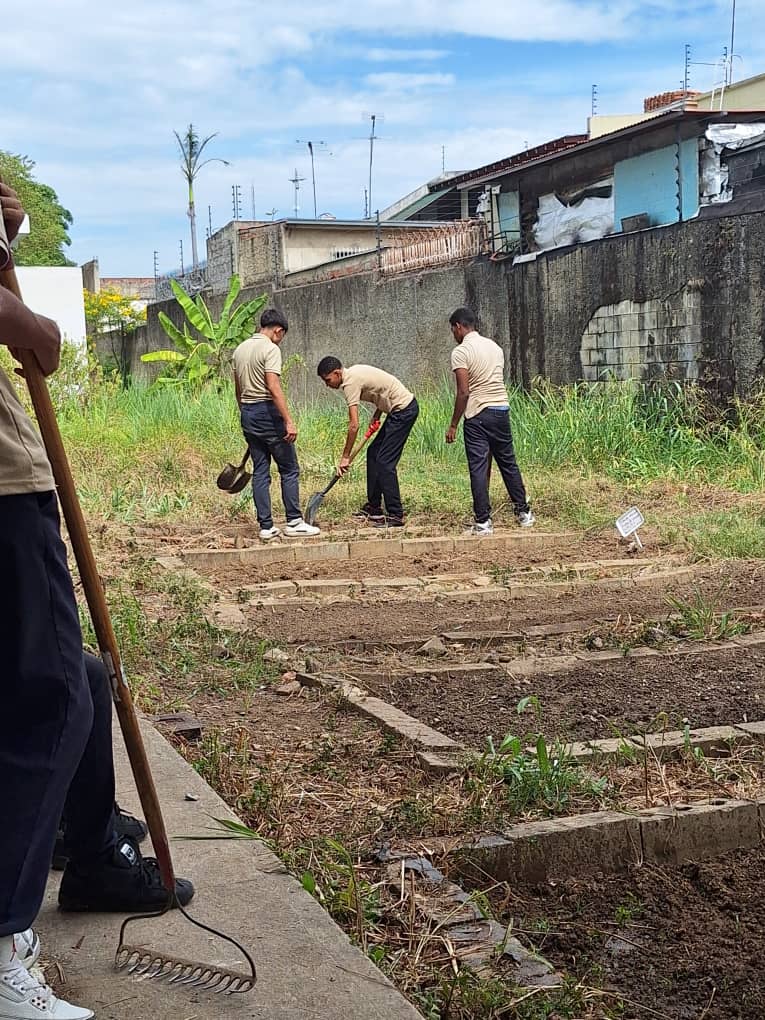 RosaB97462's tweet photo. Estudiantes de la brigada Carlos Lanz de la UENE LUIS BELTRAN PRIETO FIGUEROA en la Identificación, mantenimiento y riego de los espacios del Conuco. CDCE municipio Sucre, Estado Miranda.
@_LaAvanzadora 
@HectoRodriguez 
#CalidadEducativa
#ElFuturoEsAhora 
#Miranda https://t.co/3OFMuQ2hPt
