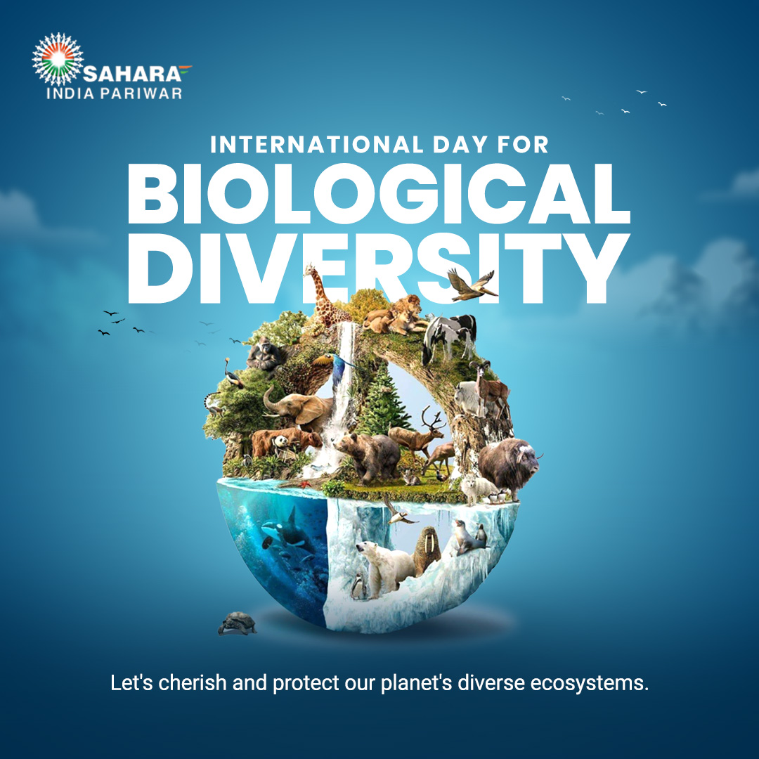 We celebrate the beauty of biodiversity and commit to conservation efforts for a sustainable future. #InternationalBiologicalDiversity #BiodiversityDay #ProtectOurPlanet