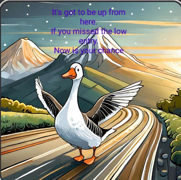 honk_sol's tweet photo. Gotta be smart enough to know that the only way is up. That is the path that $HONK is taking. https://t.co/Tm84qo8yzi