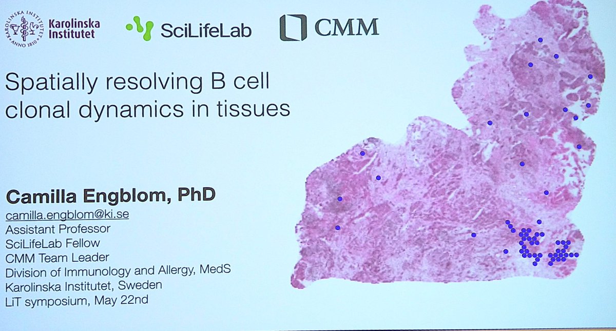 LIT (Lund Immunotalk) seminars: wonderful presentations by Gabriel Victoria and Camilla Engblom on antibody evolution. Great inspiration!