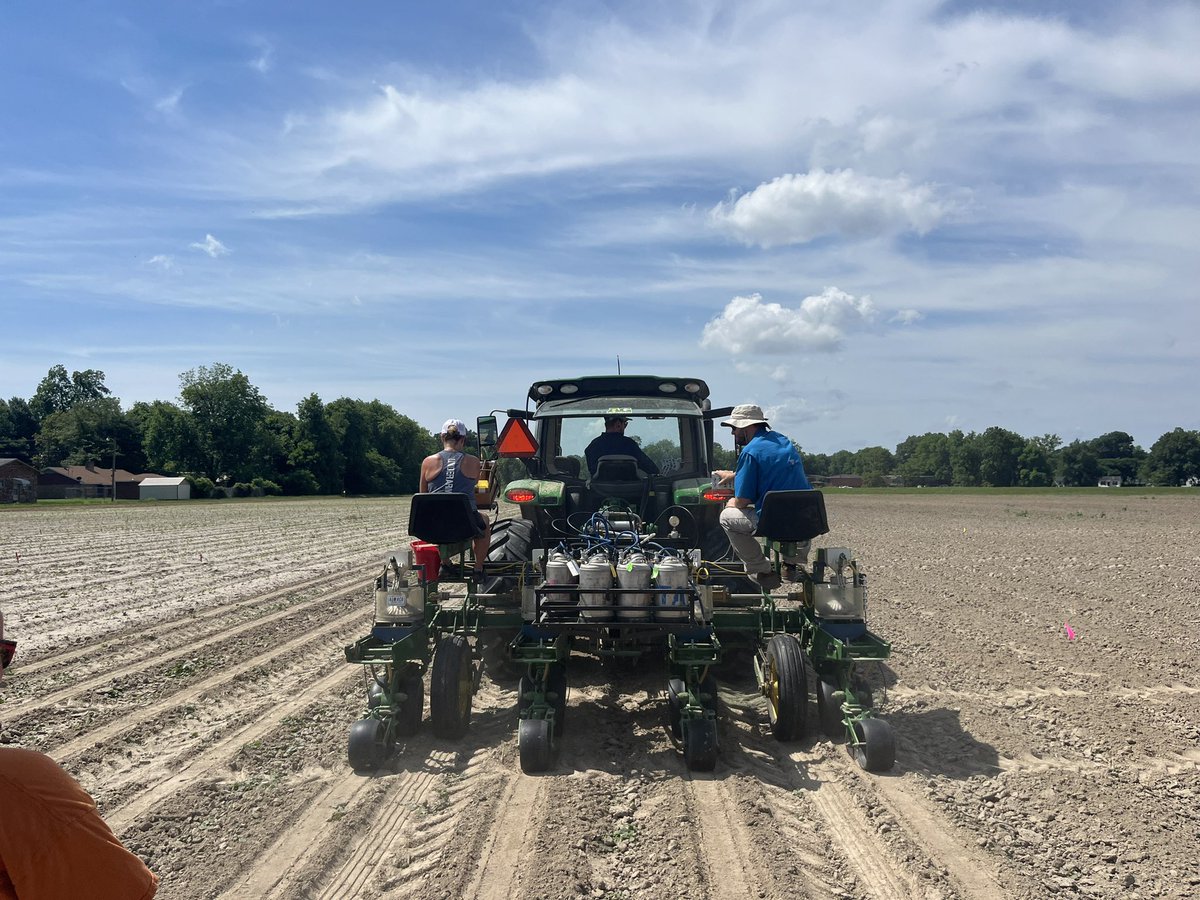 Tom Allen (@baldpathologist) on Twitter photo Planting season tips: Riding on the planter for the day planting cotton in a wind and dust cloud isn’t sandblasting, it’s exfoliation #work_life #onlyatdrec #Stonevillebeach <a href="/T_birdPathology/">Tessie Wilkerson</a> <a href="/JMHuoni/">Michael Huoni</a> Planting season tips: Riding on the planter for the day planting cotton in a wind and dust cloud isn’t sandblasting, it’s exfoliation #work_life #onlyatdrec #Stonevillebeach <a href="/T_birdPathology/">Tessie Wilkerson</a> <a href="/JMHuoni/">Michael Huoni</a>