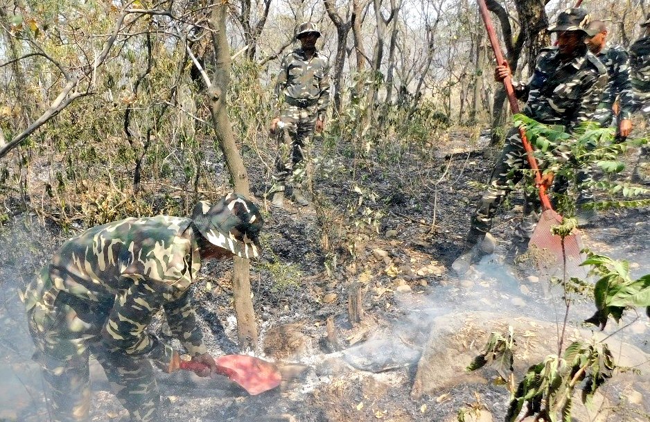 #SSB Jawans & Trainees of @SSBCTCSAPRI performed commendable work combating a forest fire in the Kalidhar hills, #HimachalPradesh. Their swift & coordinated efforts contained the blaze before it could spread further. @HMOIndia @PIBHomeAffairs @ANI @ndmaindia @PTI_News #Rescue