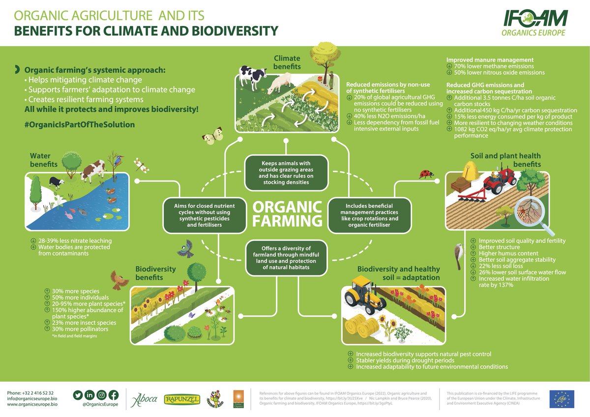 Happy #BiodiversityDay! 🌍💚 #OrganicIsPartOfTheSolution for preserving biodiversity, as it fosters thriving ecosystems with an higher abundance of plants, animals and pollinator species! 🍃🐝🌾 Let's embrace the benefits of organic and safeguard #biodiversity!🌿