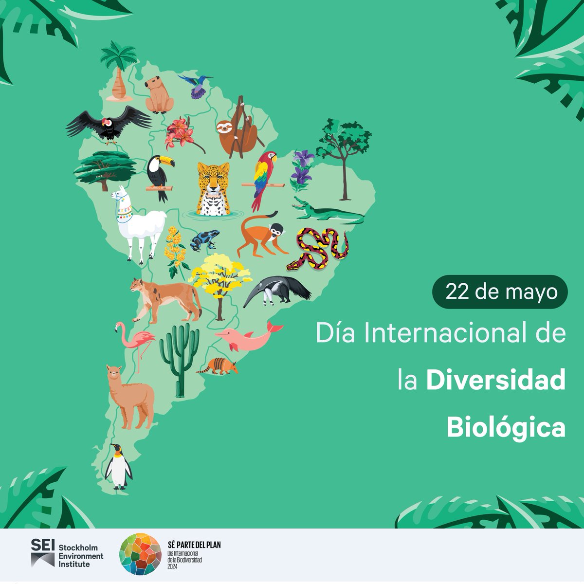 SEIenEspanol's tweet photo. Feliz #DíaDeLaBiodiversidad🌱
Hoy y todos los días, protejamos la #biodiversidad que nos rodea🌎🌳
Conoce más como puedes ser #partedelplan👇
https://t.co/IgaAlFEuNZ https://t.co/pVeqBPF9Qv