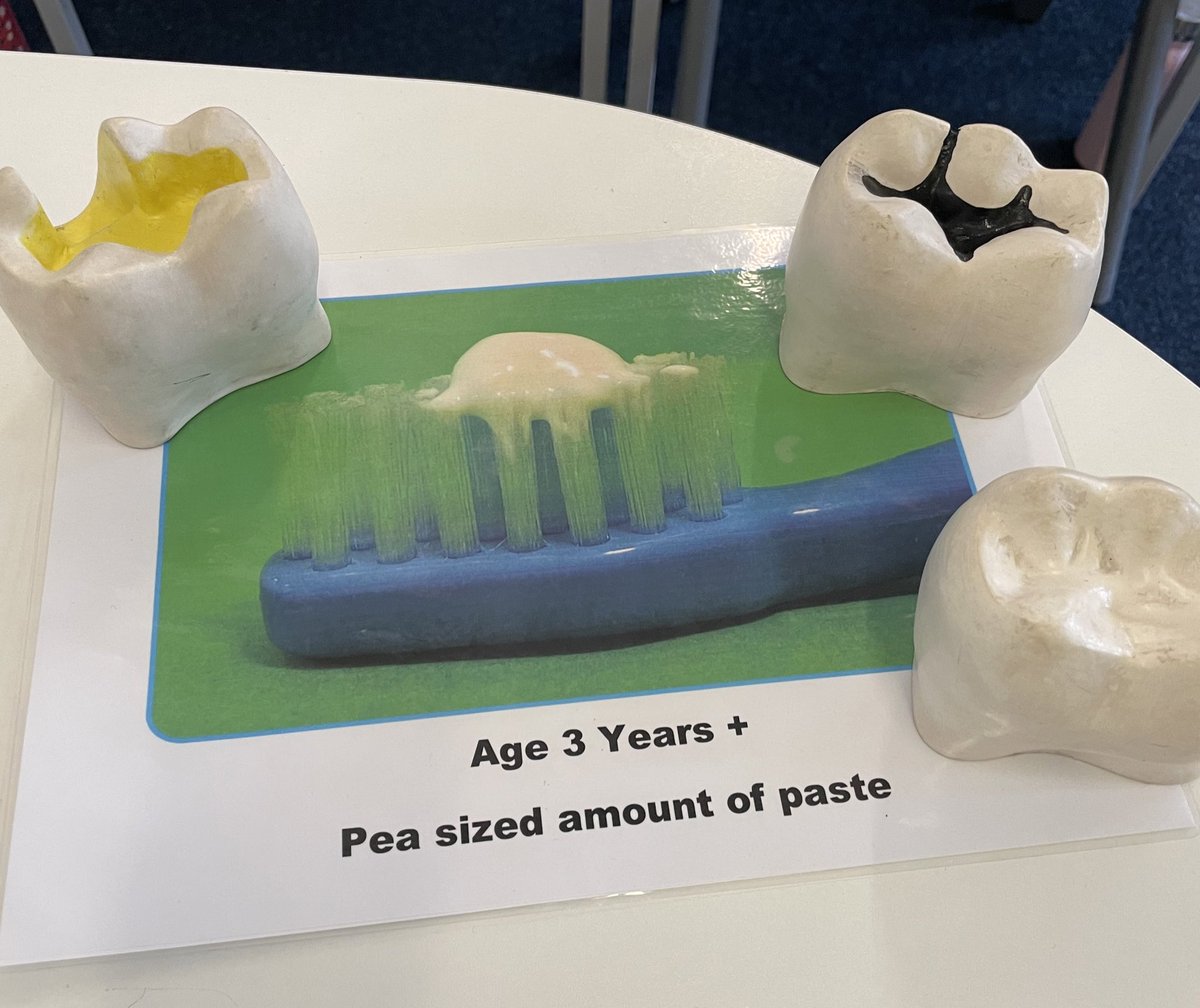 Sycamore class are the co-creators of the newly founded term: 😁 Fluoride Forcefield 🪥 Brushing your teeth creates a Fluoride Forcefield which protects them throughout the day. @HealthboxCIC #protectyourteeth #fluorideforcefield #brushyourteeth #teeth