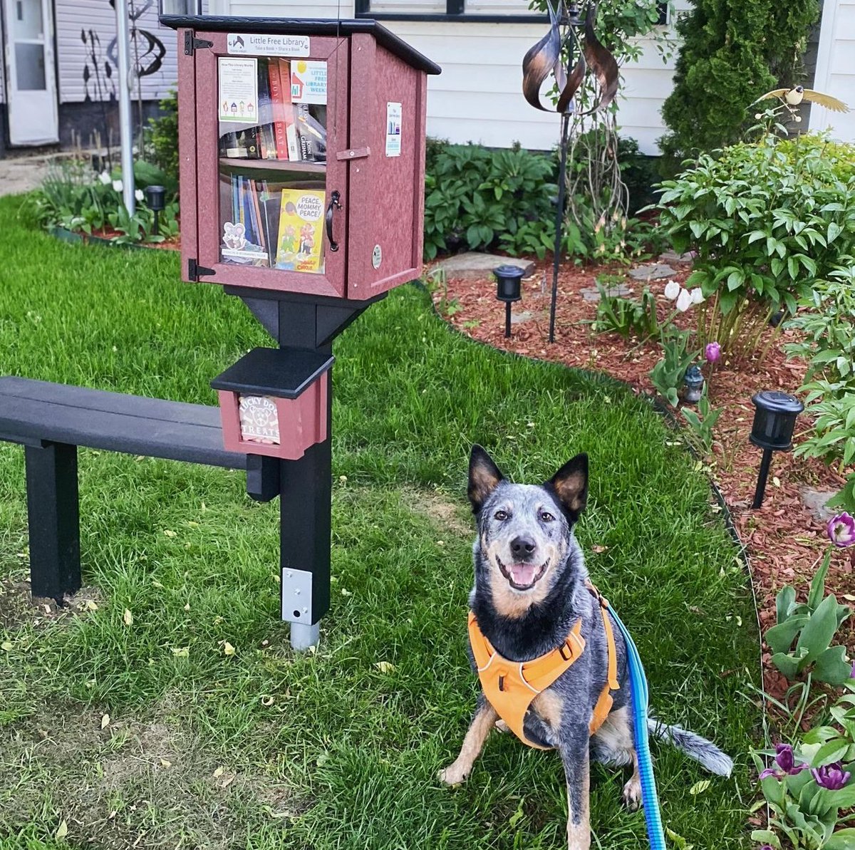 DOG WALKING TIP: Create a route in the free #LittleFreeLibrary mobile app so that you can visit book-sharing boxes while you take your four-legged friend for a stroll around the neighborhood! lflib.org/app