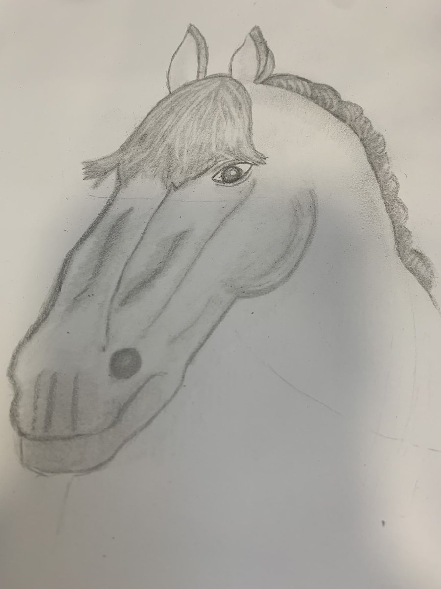 Horse face from my art and charcoal course at college #artismedicine #artistherapy #eupd #ptsd #horse #neigh #distraction