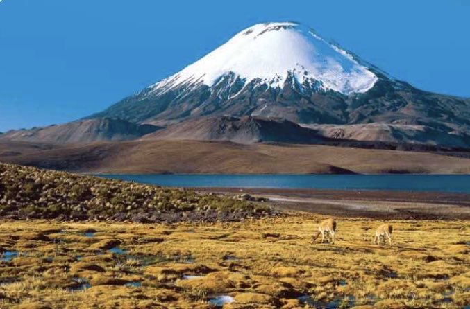 Finster123124's tweet photo. THE HIGHEST LAKE IN THE WORLD is Ojos del Salado. It is located on the border between Argentina and Chile 
at 20,965 feet (6,390 m) above sea level. THE LOWEST LAKE IN THE WORLD is the Dead Sea, located in Israel 1,385 feet (408 m) below sea level. High salinity keeps one afloat. https://t.co/VltMqSBsNl