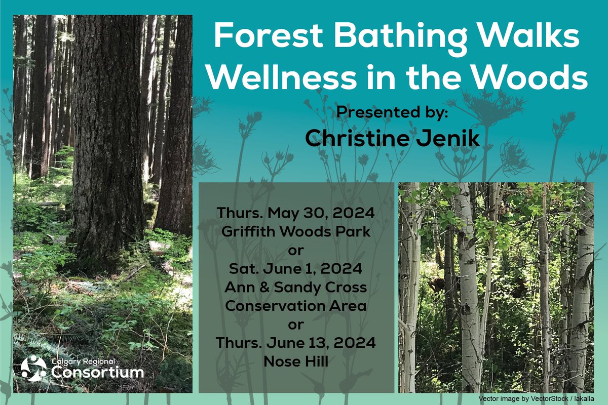 Feeling stressed? Join one of our 2.5-hour Forest Bathing walks led by a certified guide and discover the healing power of nature. Open to all K-12 educators and school staff. Don't miss out—sign up today! 🍃

bit.ly/crcforestbathi…
#ShinrinYoku #NatureTherapy