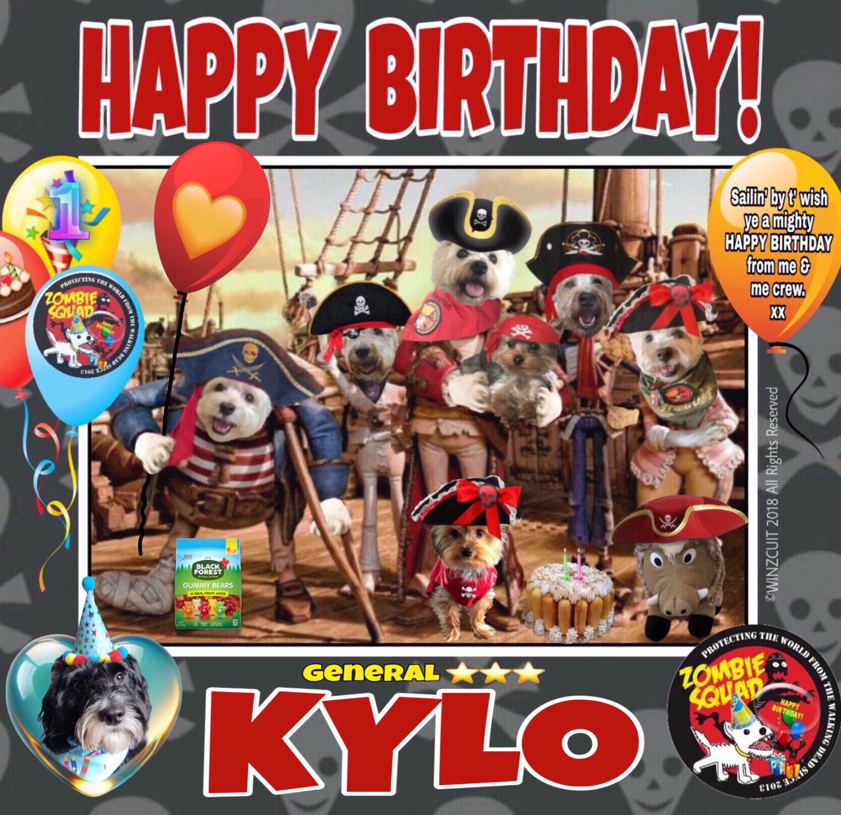 🎂Wishing a 🎁HAPPY 1st BIRTHDAY🥳 to our pawtastic pal, GENERAL KYLO @Sprocket_Cool from Leada Billy & all of your ZombieSquad pals. We hope your special day is full of tasty treats, belly rubs, gummy bears & cayke, dear pal. RaaAAA!!