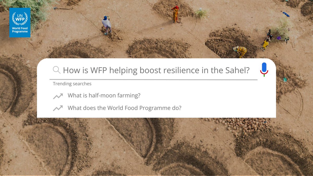 📢Happening next week! 🗓️Join us on May 28, from 8AM-5:30PM at 350 Albert Street, as we host an interactive exhibit (including a VR experience 🥽) detailing how @WFP's integrated resilience programming is transforming lives in Africa's Sahelian region.
