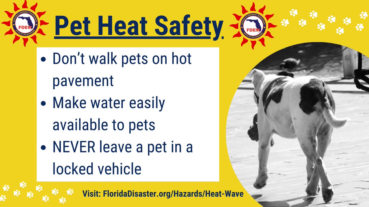 Your pet needs to be protected from the heat as much as you do! 🐶 🐕 Don’t walk your pets on hot pavement 💧 Make sure they have consistent access to water 🚗 NEVER leave your pet in a locked car Learn more heat safety tips: bit.ly/3K4eNq3