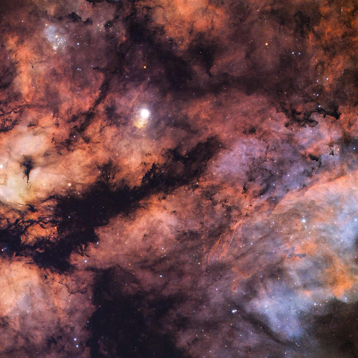 Cosmic chaos in Cygnus 📸 My take on the intense nebulae surrounding the center of Cygnus' cross. This is 6 hours of total exposure using my camera and telescope in the backyard! Camera: bit.ly/3ISZcsY Telescope: bit.ly/3S9hnQi Mount: bit.ly/4aP85jG