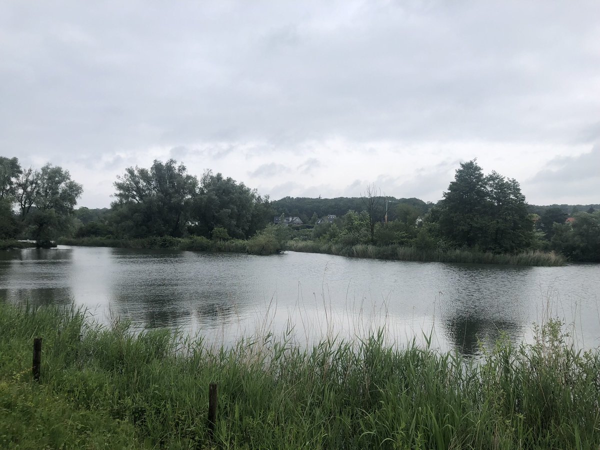 Wandeling langs de uiterwaarden <a href="/Gemeente_Rhenen/">Gemeente Rhenen</a> met <a href="/PSUtrecht/">Provinciale Staten Utrecht</a> met info over realisatie Natuurnetwerk Nederland (NNN)