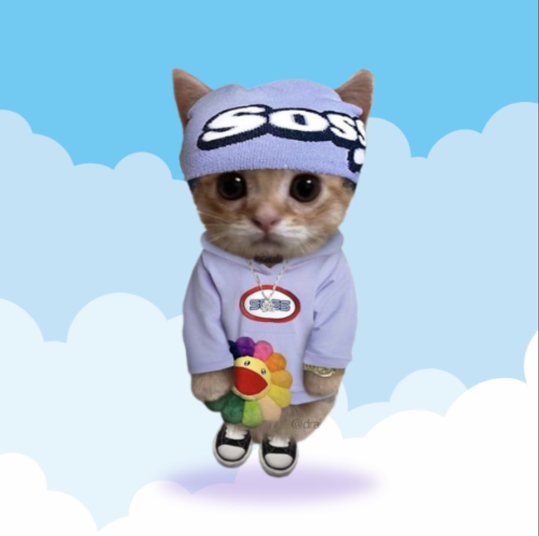 WE GOT RID OF THE JEETS in <a href="/fujionsol/">Fuji On SOL</a> aka #FUJI 

Literally 5 people left in the Telegram, trying to run this pump dot fun coin back!!! Help us on this mission - the meme is simply too good. 

pump.fun/62rn1aPk14bJgo…