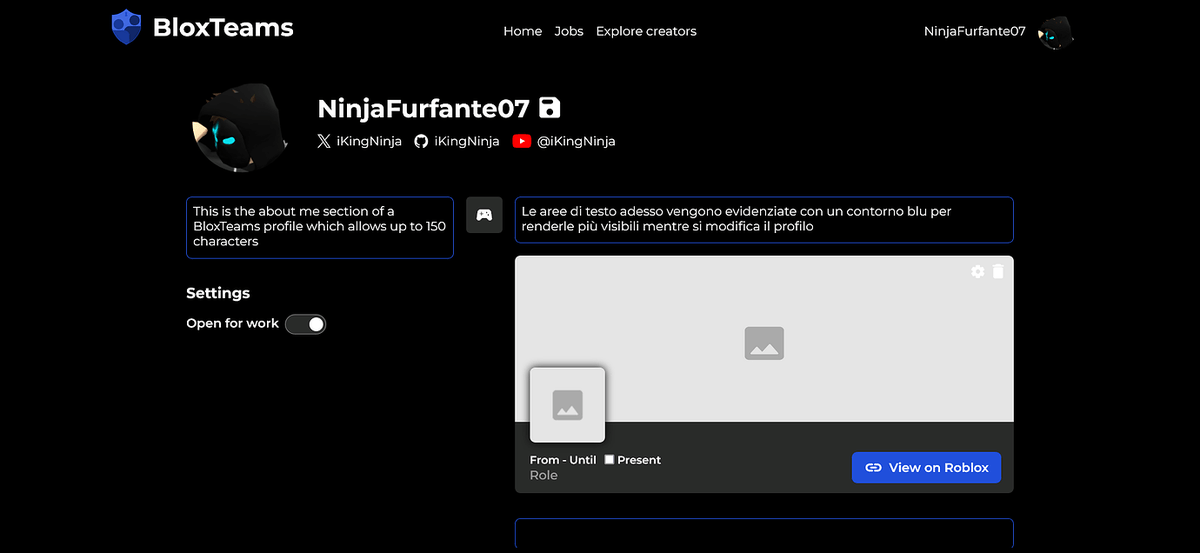 Improved visibility of textareas when editing the profile page

#Roblox #RobloxDev #BloxTeams