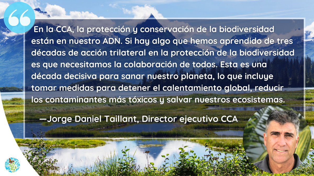 CCA_Espanol's tweet photo. ¡Feliz #DíaDeLaBiodiversidad! @JDTaillant de la CCA insta a todo el 🌎 a ser #ParteDelPlan🌱🍄🦋🐝
Estamos en una década decisiva p’ sanar nuestro planeta: debemos actuar y frenar el #CalentamientoGlobal' ⏳ 🌡️🌎
Mira nuestro trabajo sobre #Biodiversidad
👉https://t.co/qYbZmLZhWg https://t.co/bP9hsHMlwI