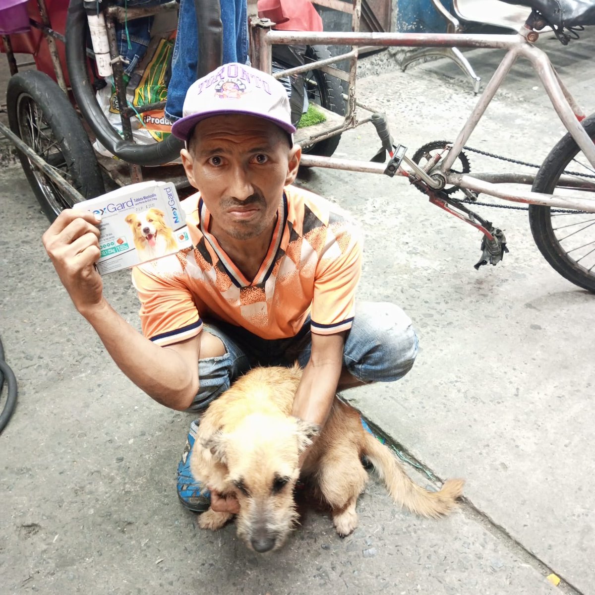 #Guayaquil. Aparecieron! 'Nube' recibió la NexGard que fue personalmente administrada. 🫶Misión cumplida. Ahora, vamos a concretar el ofrecimiento de esterilización