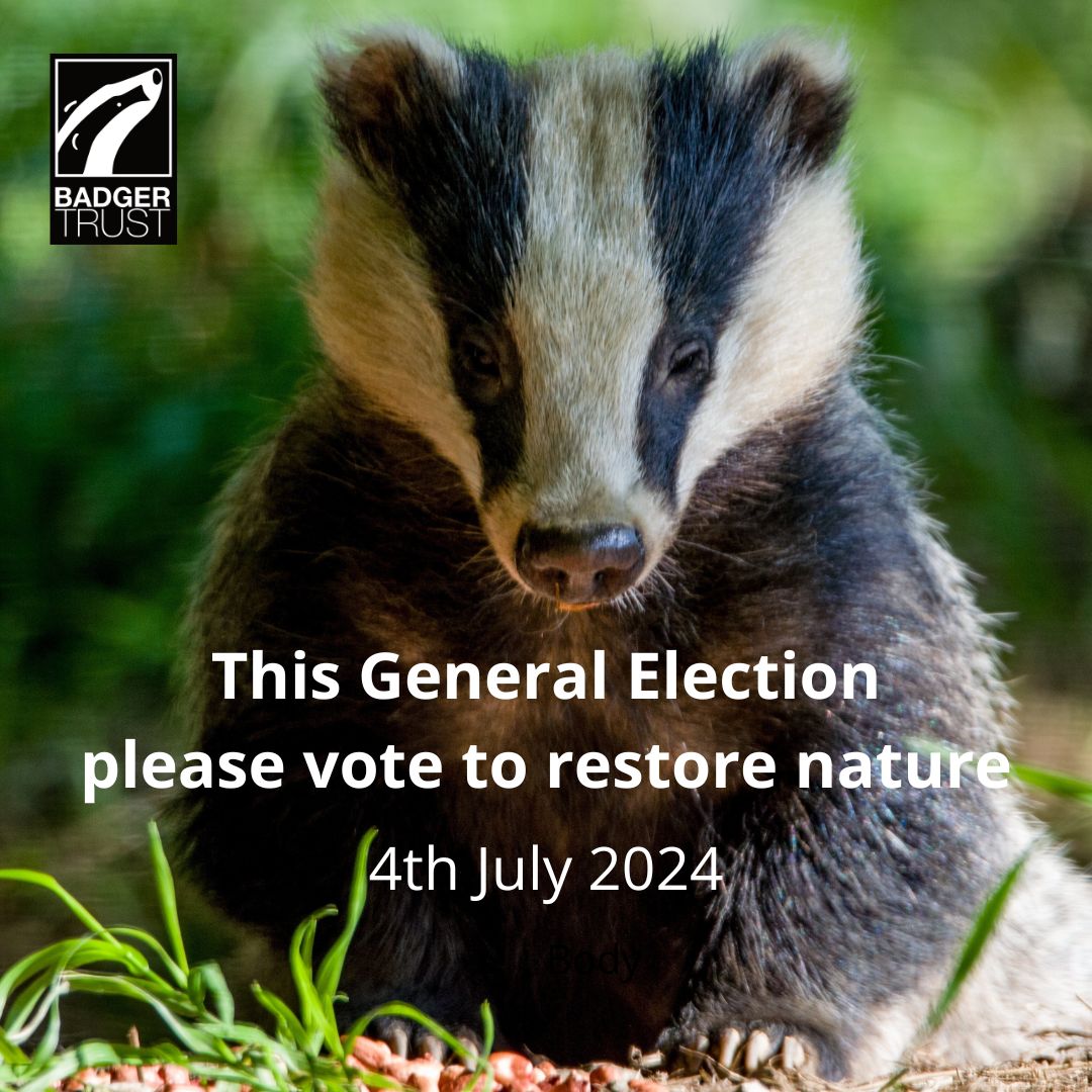 The UK #GeneralElection has been called for 4th July 2024. Please vote to restore nature 🌳 🦡 🌼 🦋 🌱🐟 🐞🌿 🐝 🦫 Make sure you're registered to vote! Register here > gov.uk/register-to-vo…