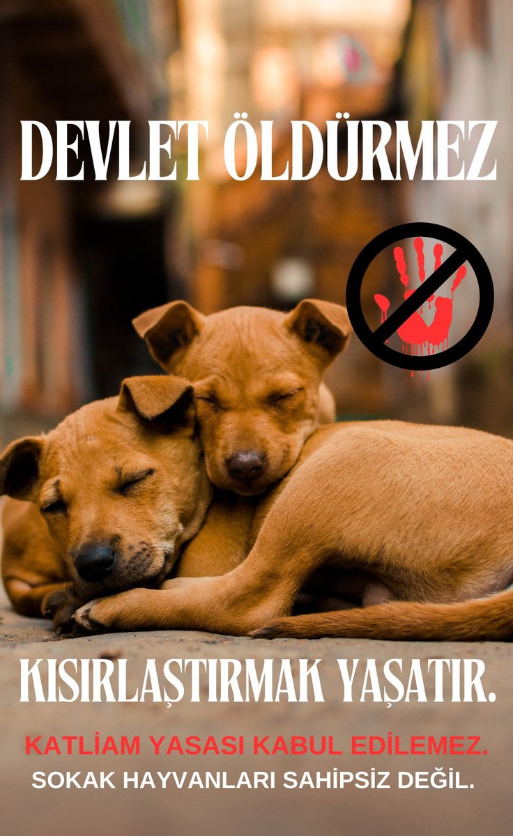 KraCrn's tweet photo. Devlet oldurmez, devlet yasatir.
Devlet yasatmazsa 
dayanışma yasatir. Merhametten daha güçlü bir duygu, düşünce yok. Tüm vicdan sahibi insanlar bir olup, canların sesi olacağız. Yılmak, yorulmak, vazgeçmek yok.
#SokakHayvanlarıSahipsizDeğil https://t.co/3uZhZGr05v