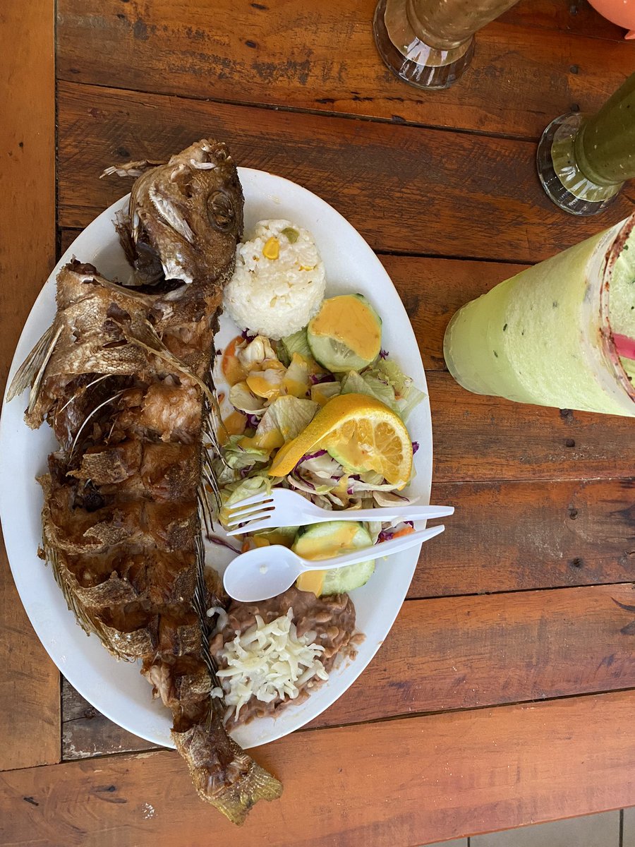 Darkfeminine211's tweet photo. Coastal road trip with my husband to Ensenada I went for margaritas and the food it was a vibe, can’t wait for our trip to Mx city. 🇲🇽🌮🪇🍹 https://t.co/bwcXpyCn0k