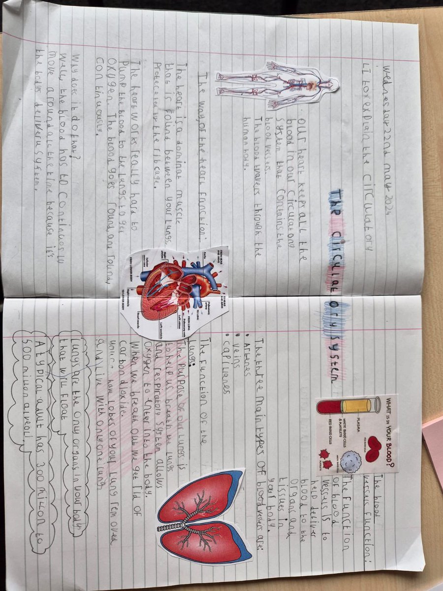 Exciting News! Year 6 Explains the Circulatory System!

Let's celebrate their hard work and dedication! 🥳🎉<a href="/MrsVelia/">Mrs Velia</a> <a href="/Mr_Hucknall/">Mr Hucknall</a> <a href="/WalthamstowPrim/">Walthamstow Primary Academy</a>