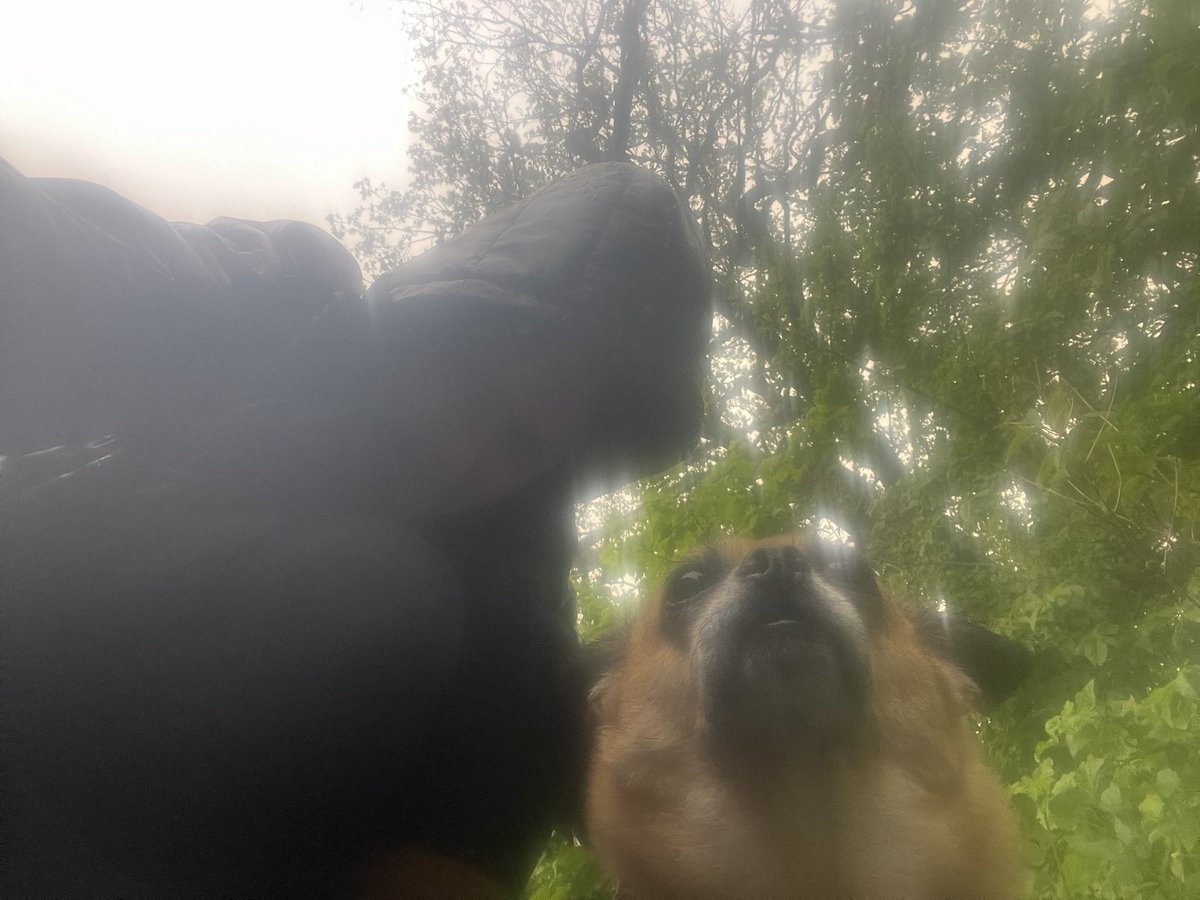 DanyRobson1's tweet photo. So I wore my T-shirt in memory of the brilliant Laura Nuttall who died a year ago today of glioblastoma #ACureCantWait

Be Kind - I took my elderly neighbour’s dog Milo for a walk

Be brave - I returned to spinning (in the strobe lighting! See pic) https://t.co/sE7hJrGn35