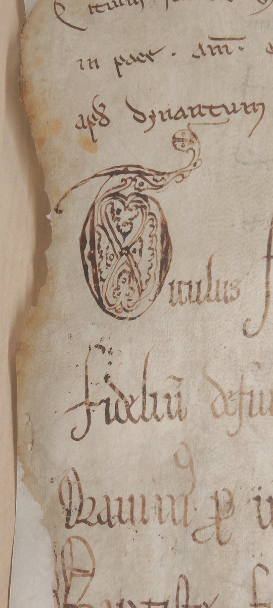 eric_mermet's tweet photo. Aujourd'hui avec Davide Guerdevich @DYPACuvsq aux #AD87 @hautevienne_dep , nous avons pu consulter un exemplaire du rouleau des morts, un parchemin médiéval unique qui voyageait de monastère en monastère pour honorer les défunts. Les briques d'un projet @AgenceRecherche ? 🤞🤞 https://t.co/D7iUFw46Ku