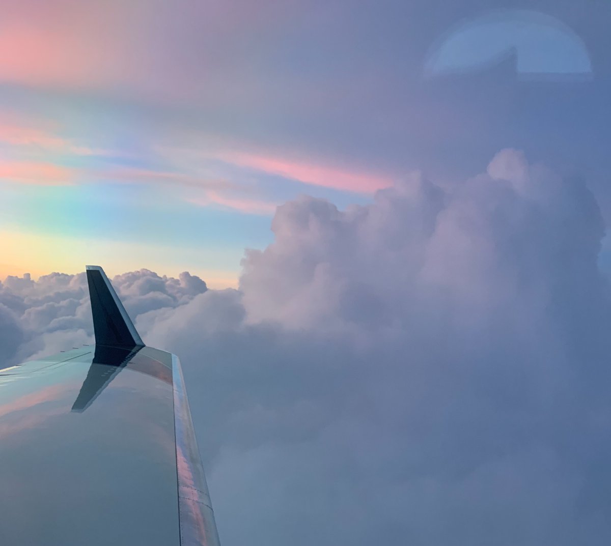 Above the clouds awaits a pastel paradise ready to be explored. 📸: #Flexjet Cabin Server 🛩️ Hannah M.