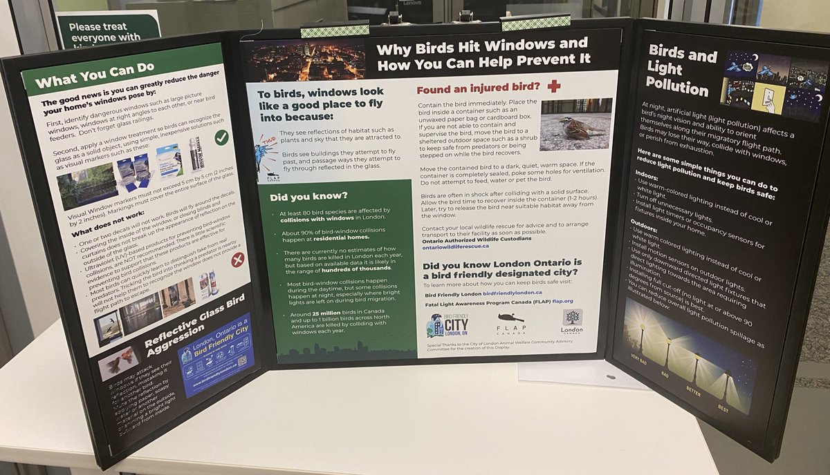 Check out this wonderful new display with educational information about preventing bird-window collisions! Two displays were printed by @CityofLdnOnt and sponsored by the Animal Welfare Community Advisory Committee. They will be circulated for display at @londonlibrary branches.