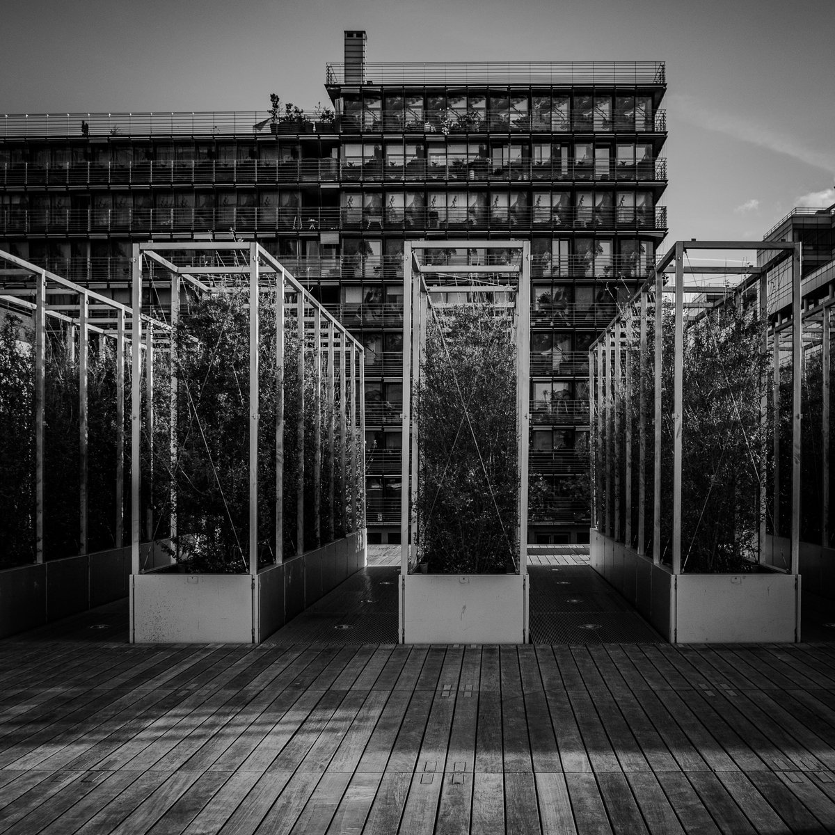 #bonjour
#nature in the #city 🙂 #BNF #paris #iledefrance #france
Color version 👉 answer 

#nopeople #street #streetart #view #lensonstreets #lensculturestreets #shotbyme #shotonlumix #photography #art  #parisphoto #reponsesphoto #instaparis #ogersparis