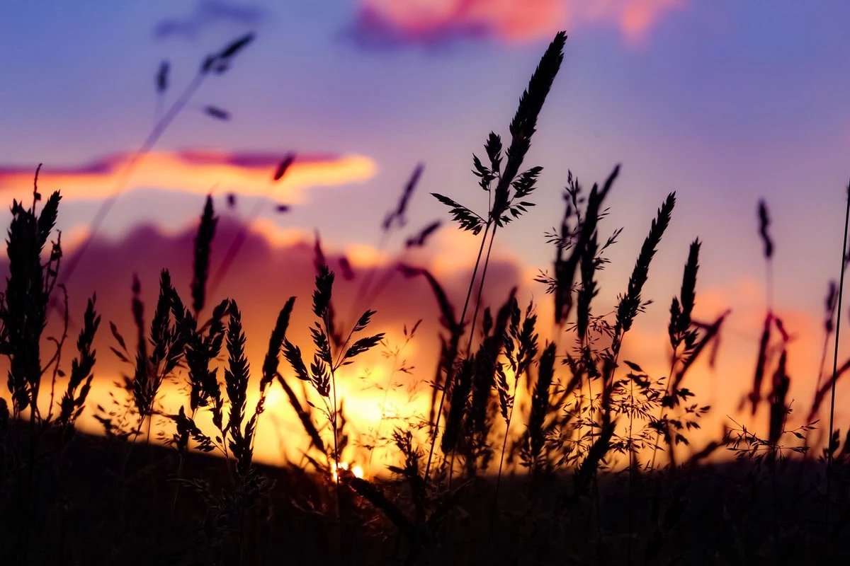 Un magnifique coucher de soleil ce soir signé Heather Emond pour vous souhaiter tous mes meilleurs voeux de bonne et douce #nuit à venir.