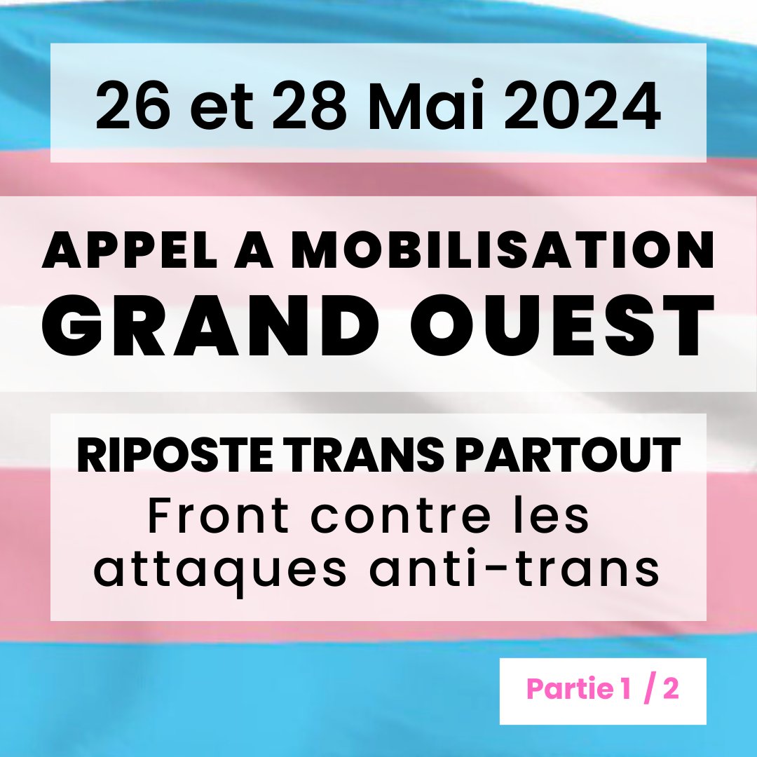 Queer'Amann tweet media