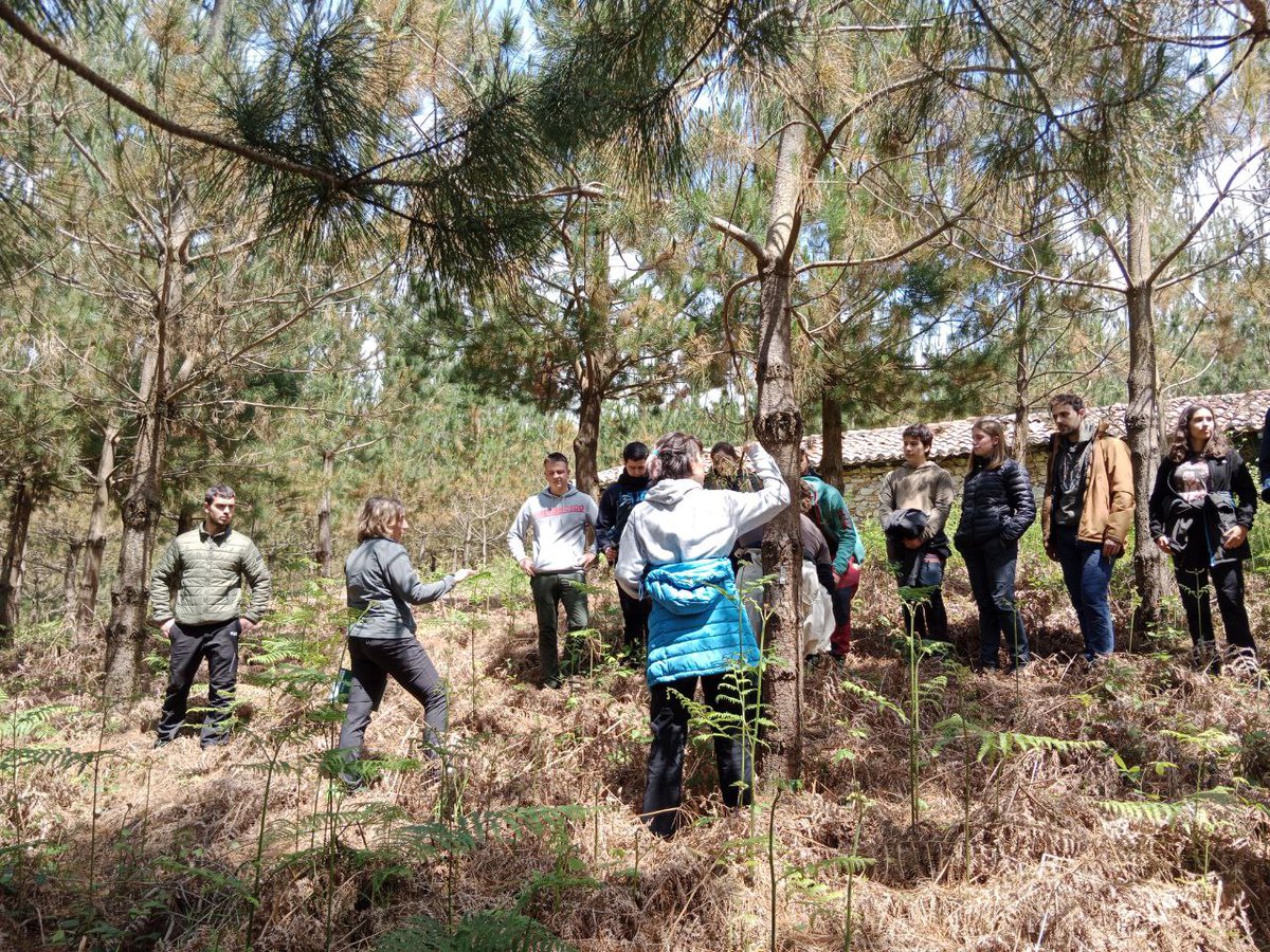 forestalistas's tweet photo. Hoy en Aramaio, la Asociación de Forestalistas de Álava ha recibido a los alumnos del Ciclo Superior de #GestiónForestal y del #Medionatural del Instituto de Murgia. Han realizado una visita a las parcelas de ensayo de los proyectos #Innobandas y #Phytodron. https://t.co/D9jIZ1sI2z