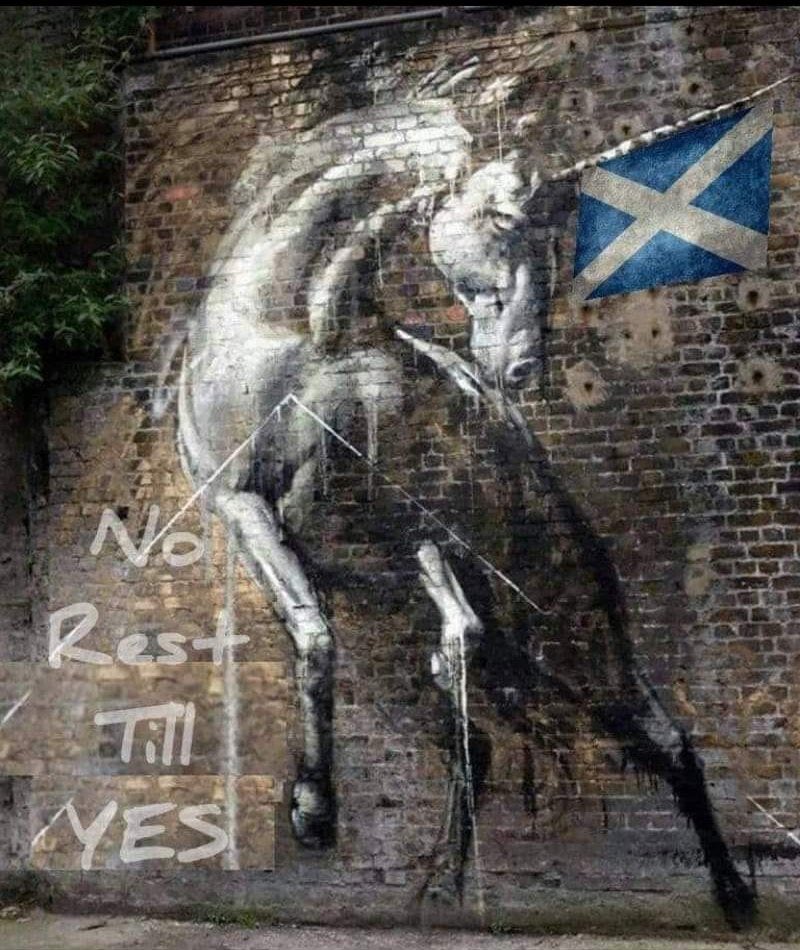 No rest till YES!
Who agrees?
