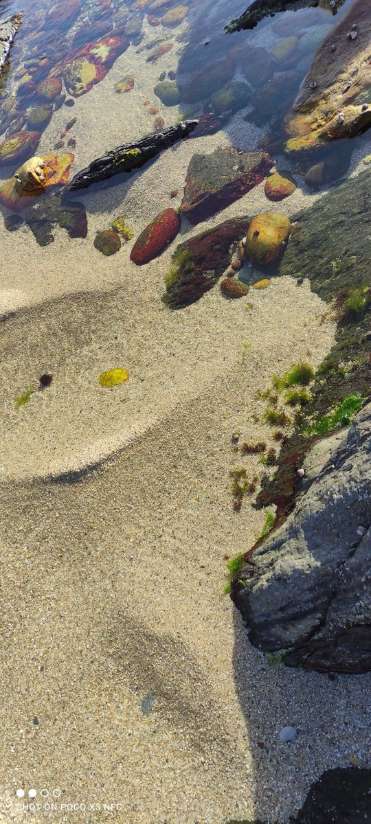 A natureza encarrega-se de curar até a alma 💙